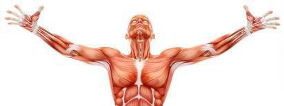 耳鳴り原因その2。筋骨格の緊張